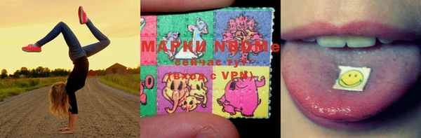 хмурый Каменка