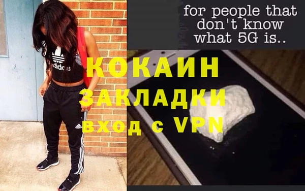 хмурый Каменка
