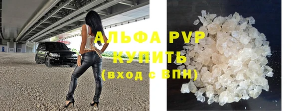 хмурый Каменка