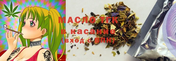 хмурый Каменка