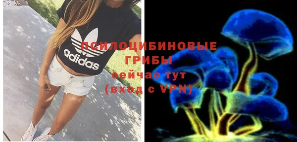 хмурый Каменка
