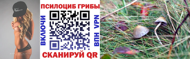 Галлюциногенные грибы ЛСД  Тольятти 